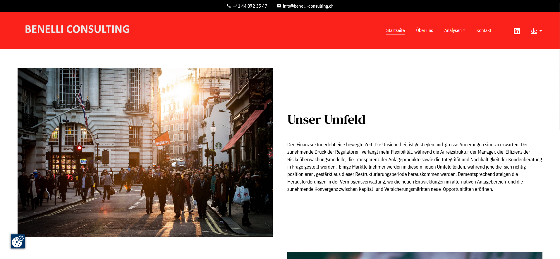 Benelli Consulting Website 2022